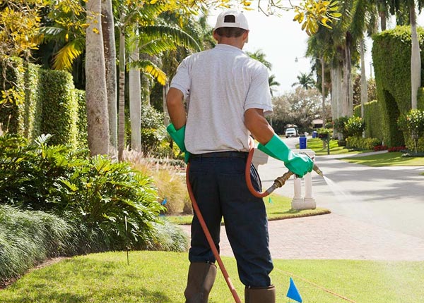 About Marlborough NH Pest Control